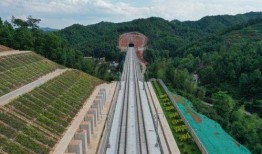 金秋爆料预测最新消息视频,最新消息视频抢先看