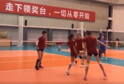 集训爆料女排视频大全,视频大全背后的拼搏与荣耀